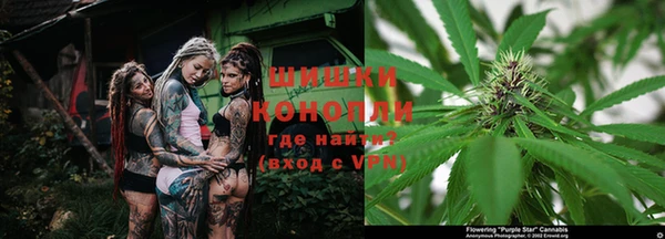 гашик Семёнов