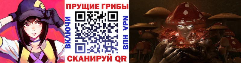 Купить  Улан-Удэ  Псилоцибиновые грибы Cubensis 